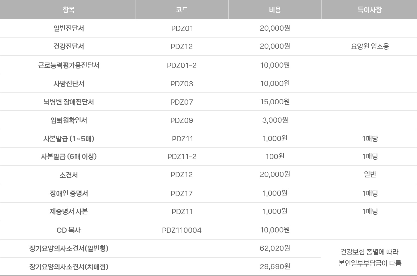 그 외 비급여 항목